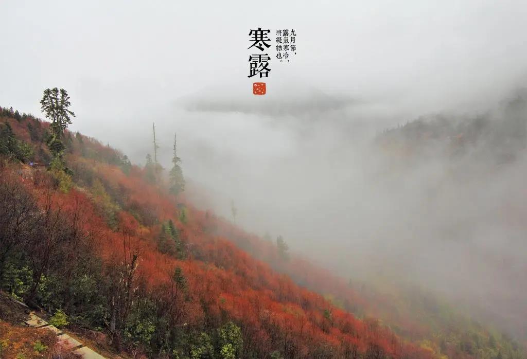 韩露的短文写作令人心动