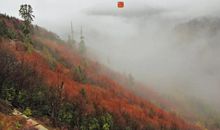 寒露短句文案 很暖心