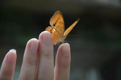 十句话无动于衷