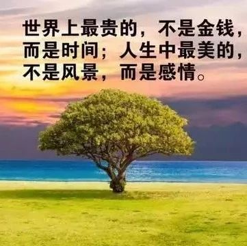 适合发送朋友谈论它