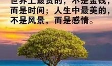 适合发朋友圈走心的说说