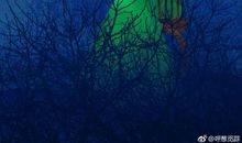 抖音最美的诗词