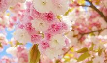 心情不好淡淡伤感的句子