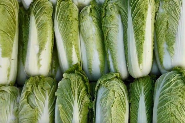 有趣的是南北之间的气候差异