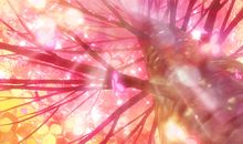 一眼心动的干净好句