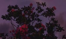 抖音最火的心酸句子