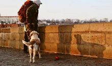 抗疫主题经典名句