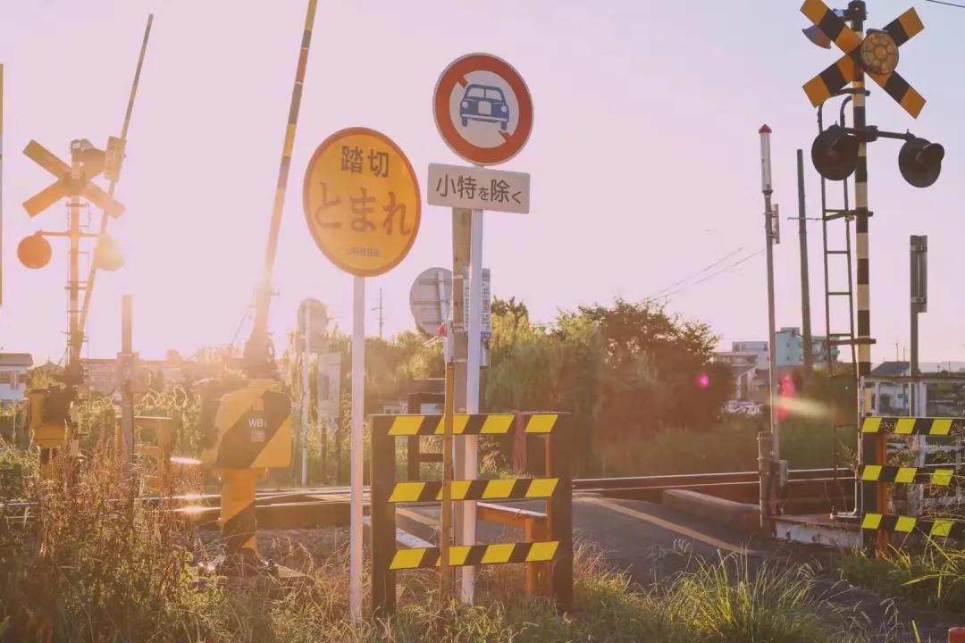 反流行病主题2的经典语录