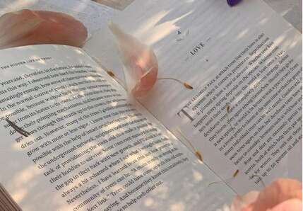 独一无二并谈论1