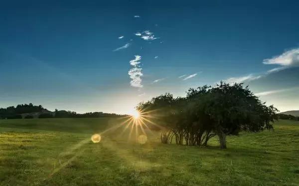 一个人的疾病感的句子1