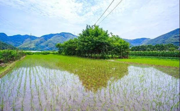 宣判新一天的好心情