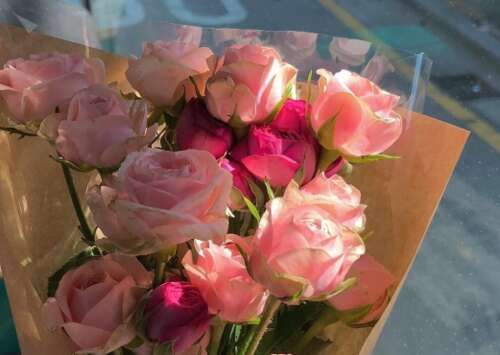 Tik Tok酷句Tik Tok净红色酷句2