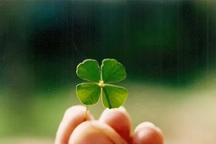 2020年最新励志摘录颤音文案