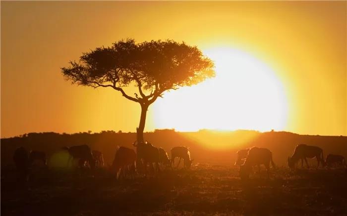在寒冷的冬天问候朋友的温馨短语