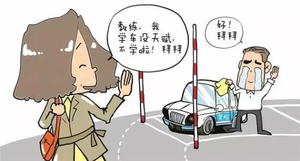 关于学习驾驶的有趣话题