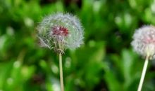 关于降温的朋友圈句子