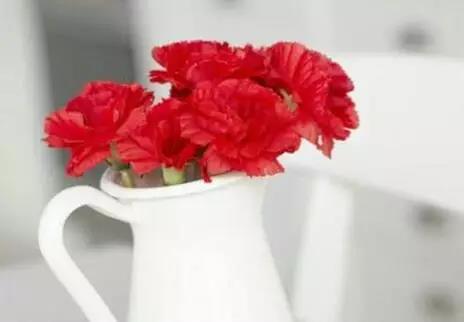 毛泽东经典语录2