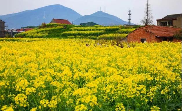 审美句子描述女友的深情1