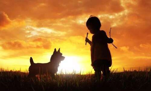 感恩是人类最宝贵的财富之一