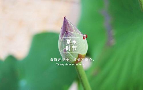 夏至派了一个朋友圈谈论短语