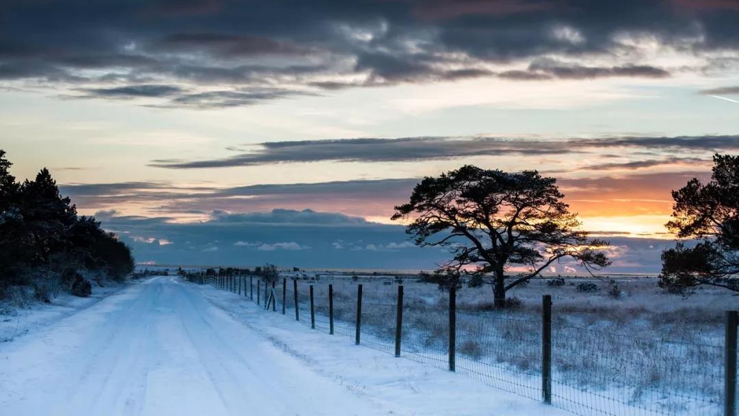 霜落经典文案句子