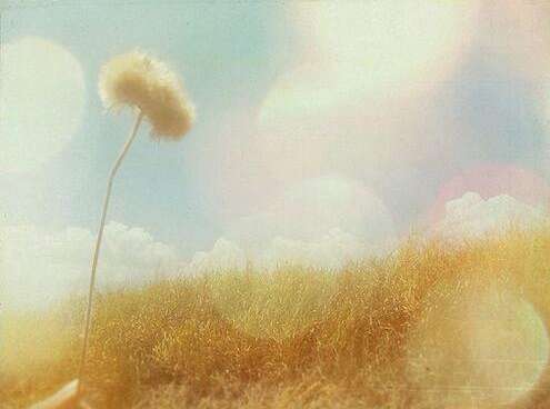 乐观而感激的终身监禁