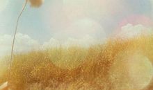 乐观感恩人生的句子