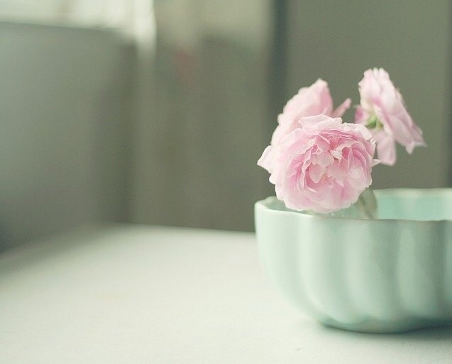 美丽清新的句子