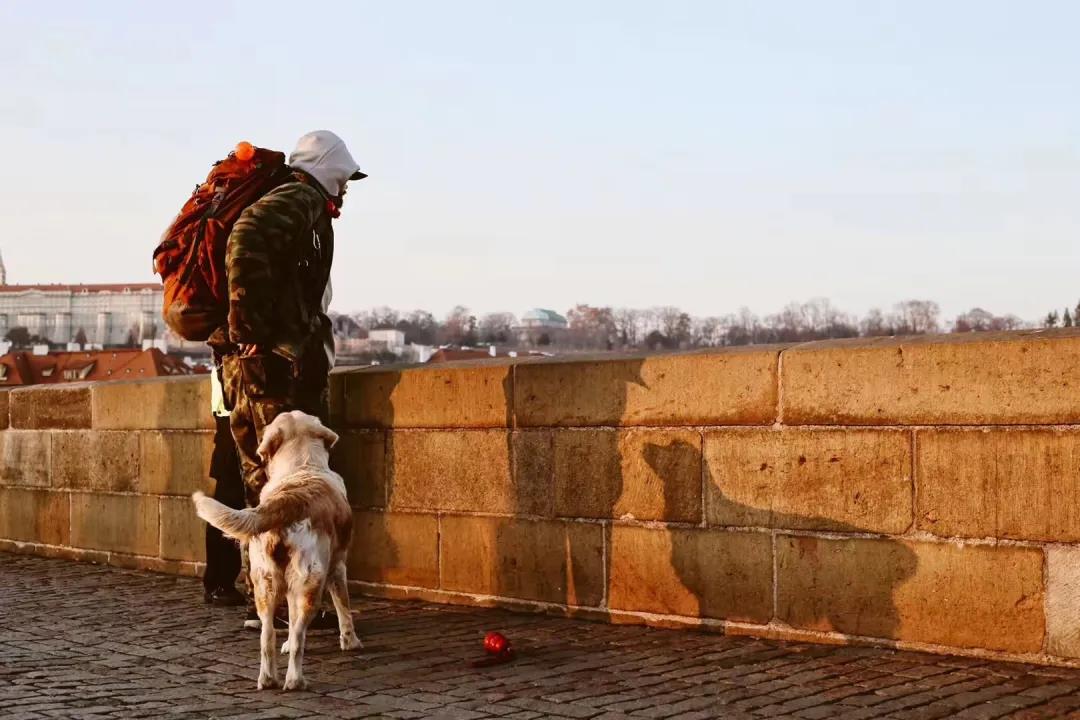 刷新三个视图的经典报价