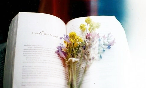 教师节的教师判决