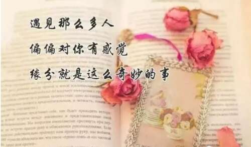 2020年最敏锐，最热烈的句子。