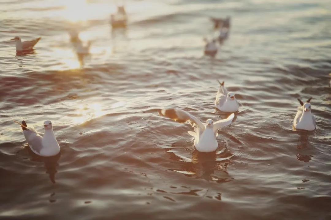 承认认罪感伤的句子1