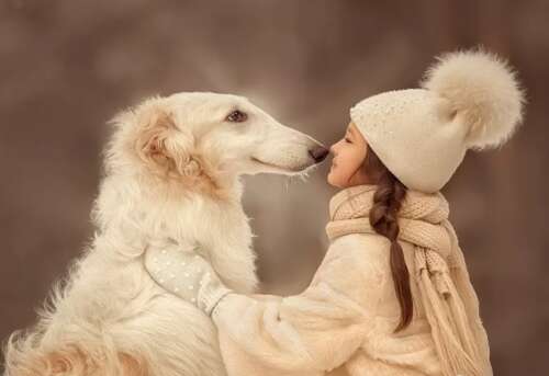 简短的感人的话