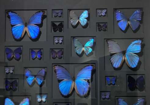 伤心的句子谈心情