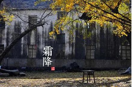 关于霜的审美句子