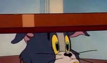 那些清新脱俗的沙雕句子