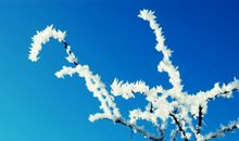 霜降说说经典句子 心情短语