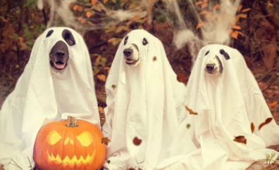 2020万圣节朋友圈的文案撰写万圣节谈论有趣和有趣