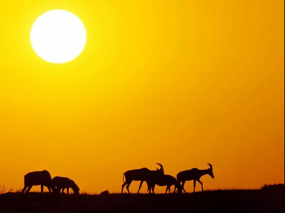 经典的祝福就是一切