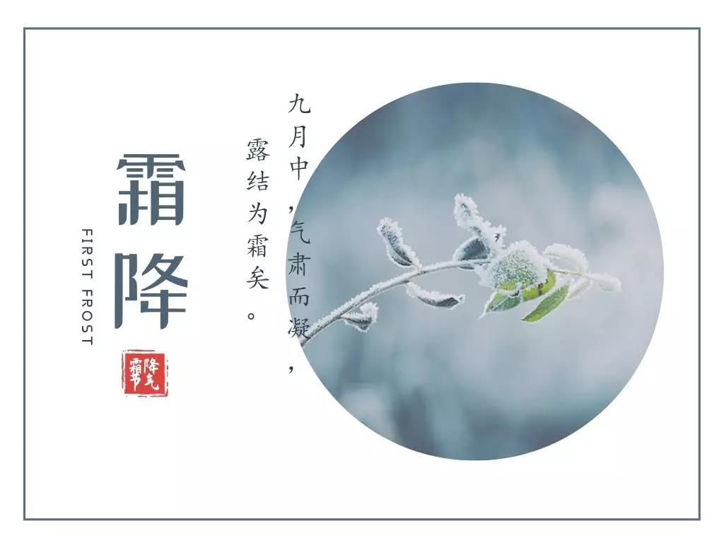 诗意的冷淡文案