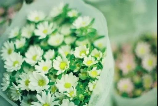 美丽而贴切的文案句子，经典的好句子适合写作