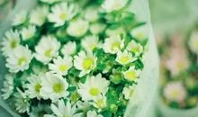 唯美走心的文案句子，适合写心情的经典好句