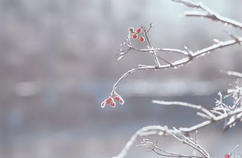 冬至诗简述冬至之美