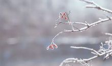 冬至诗词描写冬至唯美的短句子