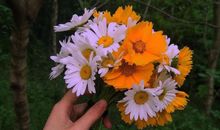 2020全新早安的句子