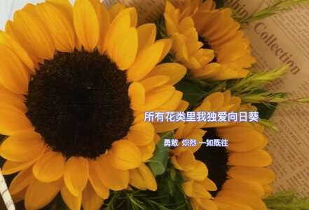 早上好,令人感动