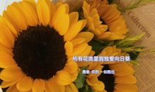 一句早上好暖心的话