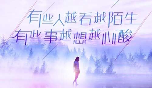 某人会喜欢的感性句子