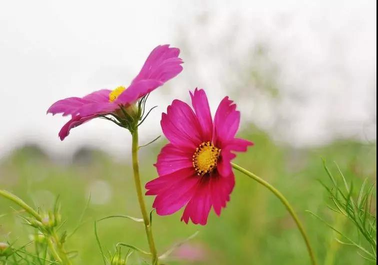 感激之词暖心简短2