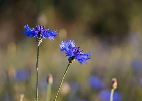 感激之词暖心简短1